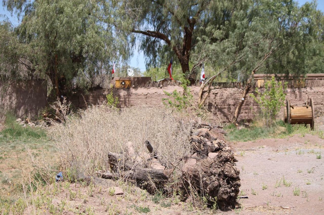 Rancho Nuevo * San Pedro de Atacama